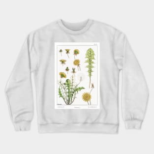 Dandelion (1896) Crewneck Sweatshirt